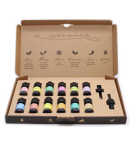 Aromatherapy Essential Oil Set - The Top 12