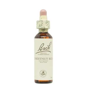 Flor nº 7 Chestnut Bud 20ml Bach