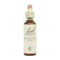 Flor nº 7 Chestnut Bud 20ml Bach