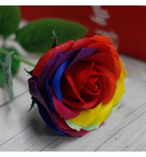 Rosa simple - Arco iris