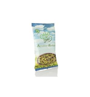 Cola de caballo planta bio 30g Herbes del Moli