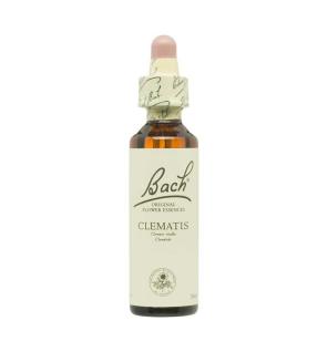 Flor nº 9 Clematis 20ml Bach