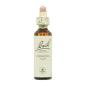 Flor nº 9 Clematis 20ml Bach