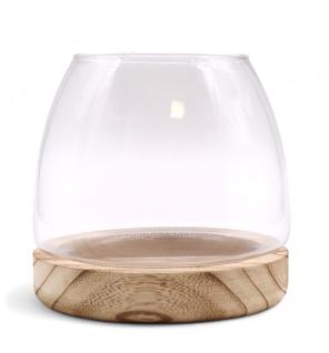 Terario Pequeño en Madera de Tung Natural - 15x15cm