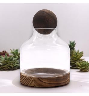 Terrario Mediano en Madera de Tung Oscura con Tapa de Bola - 17x22cm