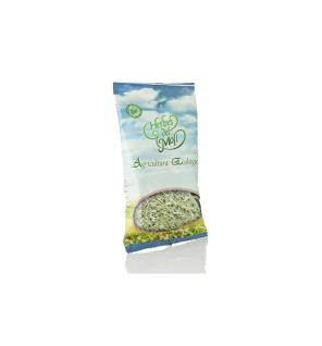 Poleo blanco planta bio 35g Herbes del Moli