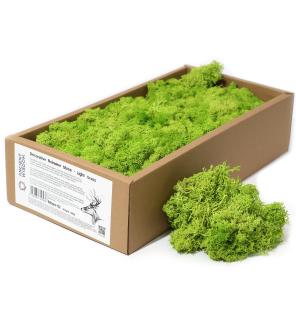 1x Musgo Decorativo -Verde Claro - (aprox. 500g)