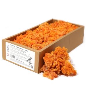 1x Musgo decorativo - Naranja - (aprox. 500g)