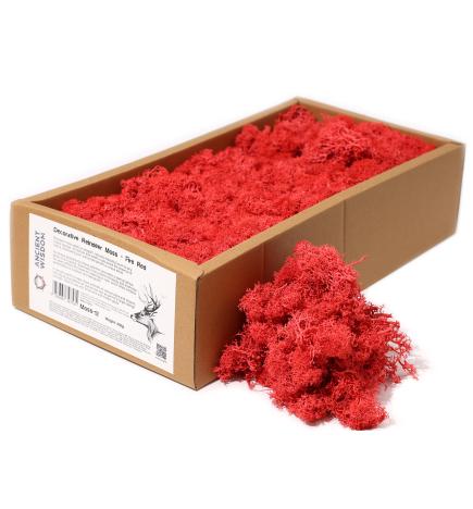 1x Musgo decorativo - Rojo - (aprox. 500g)