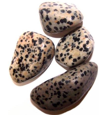 L Tumble Stones - Dalmata