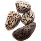 L Tumble Stones - Dalmata