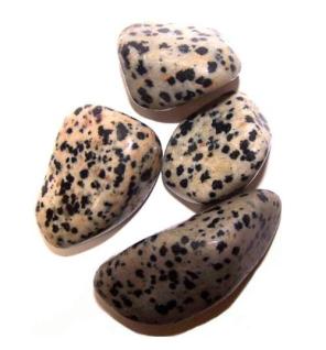 L Tumble Stones - Dalmata