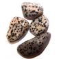 L Tumble Stones - Dalmata