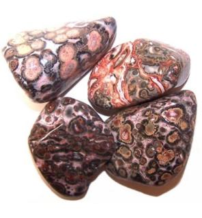 L Tumble Stones - Leopard Skin