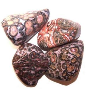 L Tumble Stones - Leopard Skin