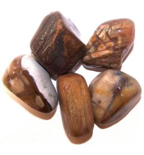 L Tumble Stones - Madera Petrificada