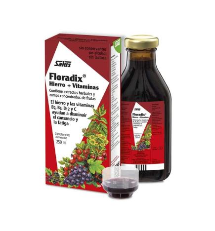 Floradix 250ml Salus