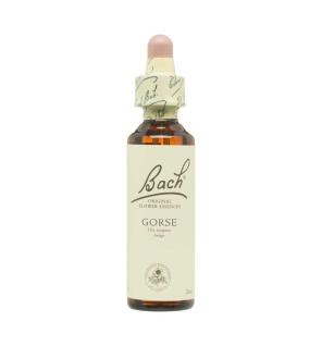 Flor nº 13 Gorse 20ml Bach