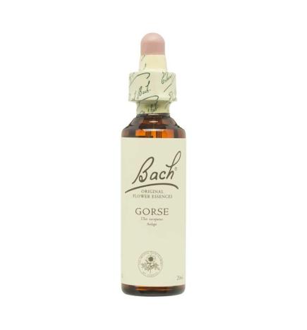 Flor nº 13 Gorse 20ml Bach