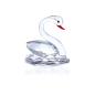 Cisne Blanco