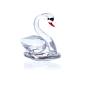 Cisne Blanco