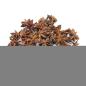 Star anise (whole) 1Kg