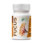 Fucus 500mg 100 comprimidos GHF