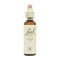 Flor nº 15 Holly 20ml Bach