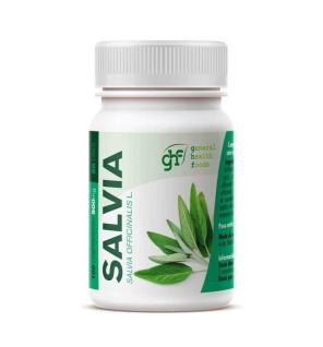 Salvia 500mg 100 comprimidos GHF