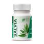 Salvia 500mg 100 comprimidos GHF