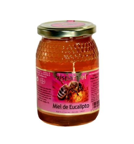 Miel de eucalipto 500g Hispamiel