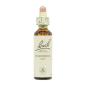 Flor nº 17 Hornbeam 20ml Bach