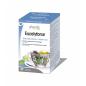 Eucalyforce infusion bio 20 filtros Physalis