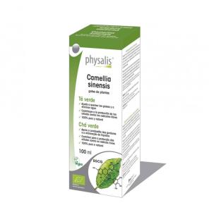 Te verde (camellia sinensis) extracto hidroalcoholico bio 100ml Physalis