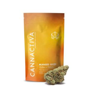 Flor de CBD Premium Mango Juize 2g Cannactiva