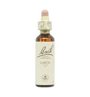 Flor nº 19 Larch 20ml Bach