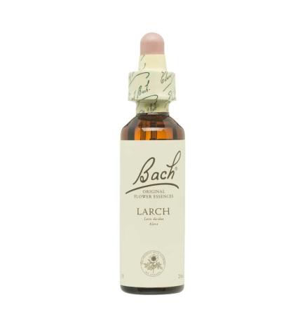 Flor nº 19 Larch 20ml Bach