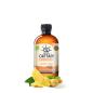 Kombucha Ginger & Lemon Bio 400ml Captain Kombucha