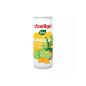 Kombucha Lima y Jengibre lata bio 250ml Voelkel