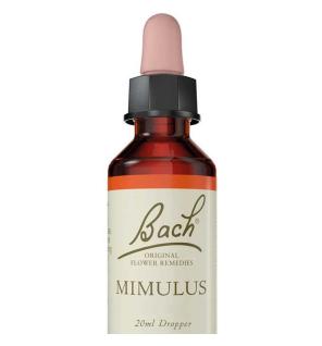 Flor nº 20 Mimulus 20ml Bach