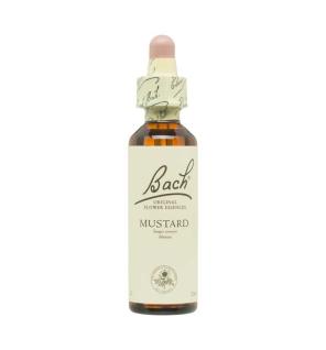 Flor nº 21 Mustard 20ml Bach