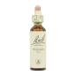 Flor nº 21 Mustard 20ml Bach