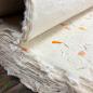 Lokta Papel de envolver hecho a mano - Caléndula
