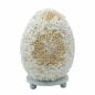 Lámpara Boho de Conchas Marinas - Concha Ovalada - 15 cm