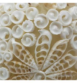 Lámpara Boho de Conchas Marinas - Concha Ovalada - 15 cm