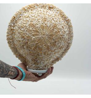 Lámpara Boho de Conchas Marinas - Concha Redonda Grande - 30 cm