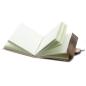 Leather Dragon Notebook (20x15 cm)
