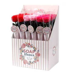 Flores de Jabón -Pequeña clavel