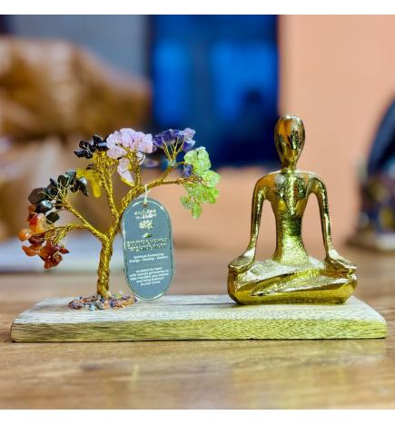 Jardín de Gemas Yoga Mudra - Siete Chakras - 100 Chips