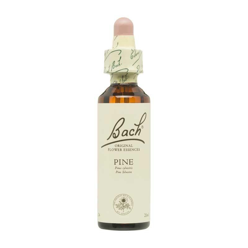 Flor nº 24 Pine 20ml Bach